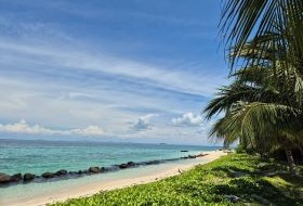 Borneo Selingan strand met palmen